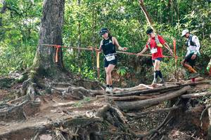 BIB: 
                            <button type="button" onclick="openModal(27556053)" class="btn btn-primary btn-sm float-right btn-popup" data-toggle="modal" data-target=".modal-high-quality">
                        <i class="fas fa-shopping-cart"></i> Add to Cart
                    </button>
                                            <button type="button" onclick="isThisMe(27556053, true)" class="btn btn-success btn-sm float-right btn-popup btn-isme hidden" data-toggle="tooltip" data-placement="bottom" title="นี่คือรูปของคุณใช่ไหม คลิกที่นี่เพื่อเอาเข้าอัลบั้ม">
                        <i class="fas fa-plus"></i> Add to album
                    </button>
                    <button type="button" onclick="isThisMe(27556053, false)" class="btn btn-warning btn-sm float-right btn-popup btn-isnotme hidden">
                        <i class="fas fa-ban"></i> Remove from album
                    </button>